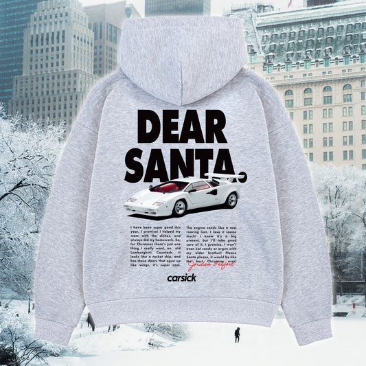 DEAR SANTA HOODIE